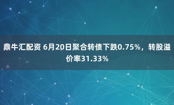 鼎牛汇配资 6月20日聚合转债下跌0.75%，转股溢价率31.33%