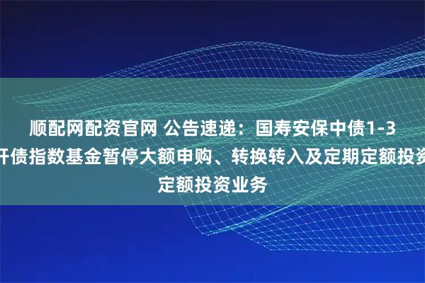顺配网配资官网 公告速递：国寿安保中债1-3年国开债指数基金暂停大额申购、转换转入及定期定额投资业务