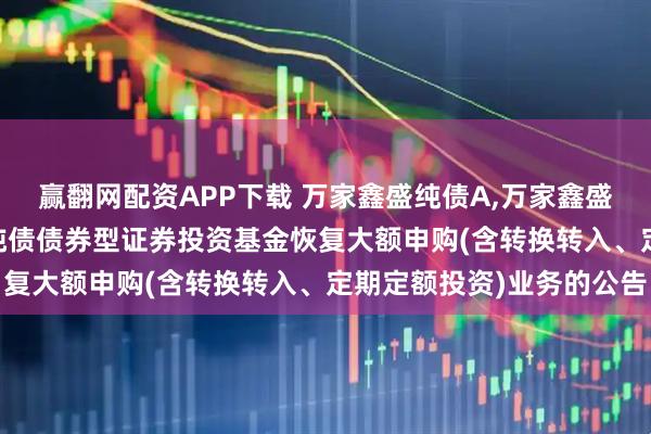 赢翻网配资APP下载 万家鑫盛纯债A,万家鑫盛纯债C: 关于万家鑫盛纯债债券型证券投资基金恢复大额申购(含转换转入、定期定额投资)业务的公告