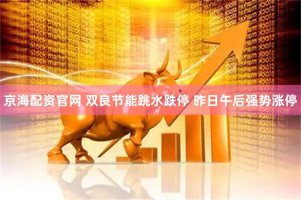 京海配资官网 双良节能跳水跌停 昨日午后强势涨停
